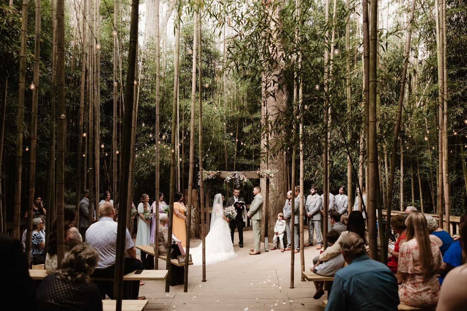 Wedding ceremony guests gather in a serene outdoor forest venue with tall trees and natural lighting.