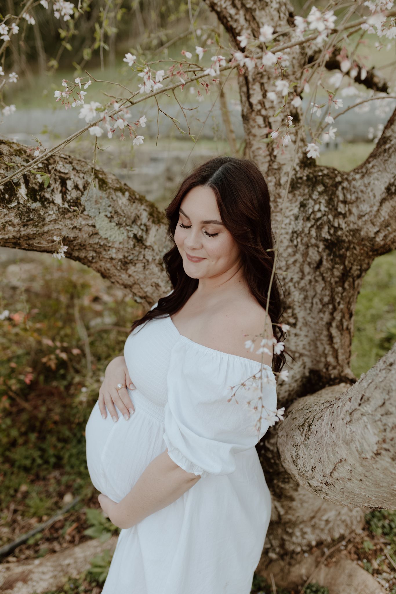 Ethereal maternity photos captured under blooming cherry blossom trees with soft natural lighting.