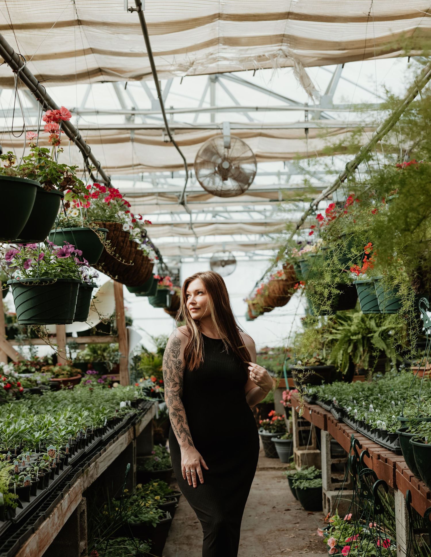 Inside view of greenhouse with hanging plants and flowers creating a lush garden atmosphere.