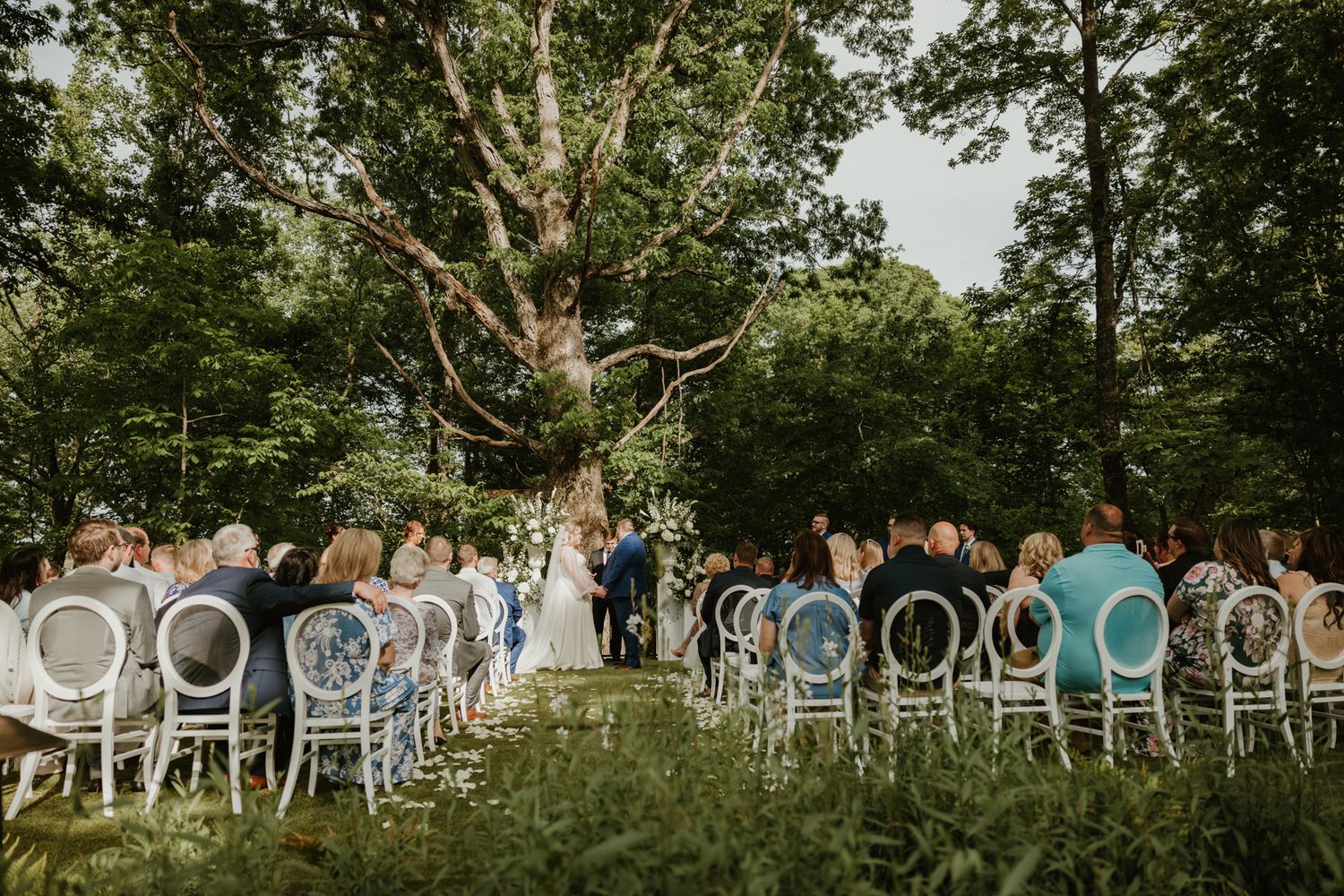 Row of wedding guests seated outdoors on white chairs among lush green trees during a garden ceremony.