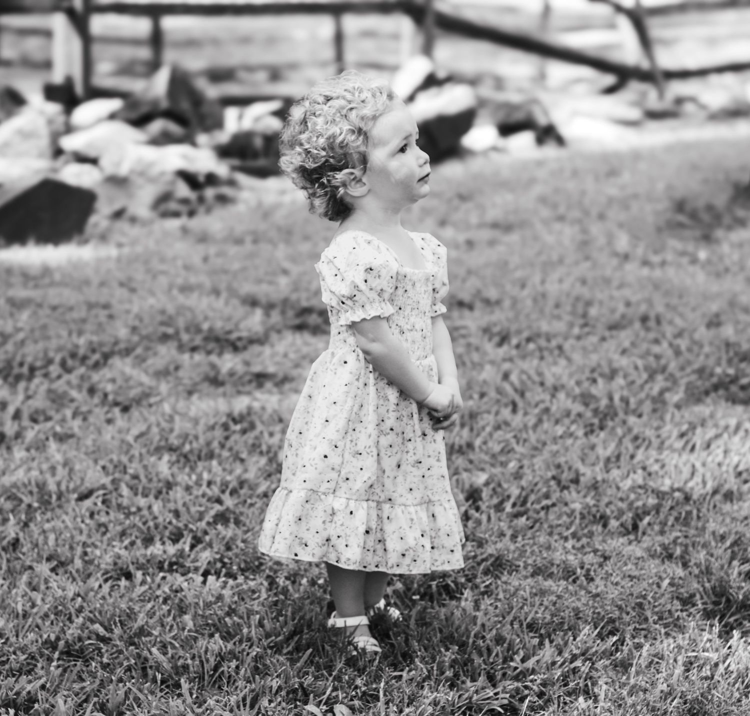 black and white timeless pictures of a sweet moment with a toddler