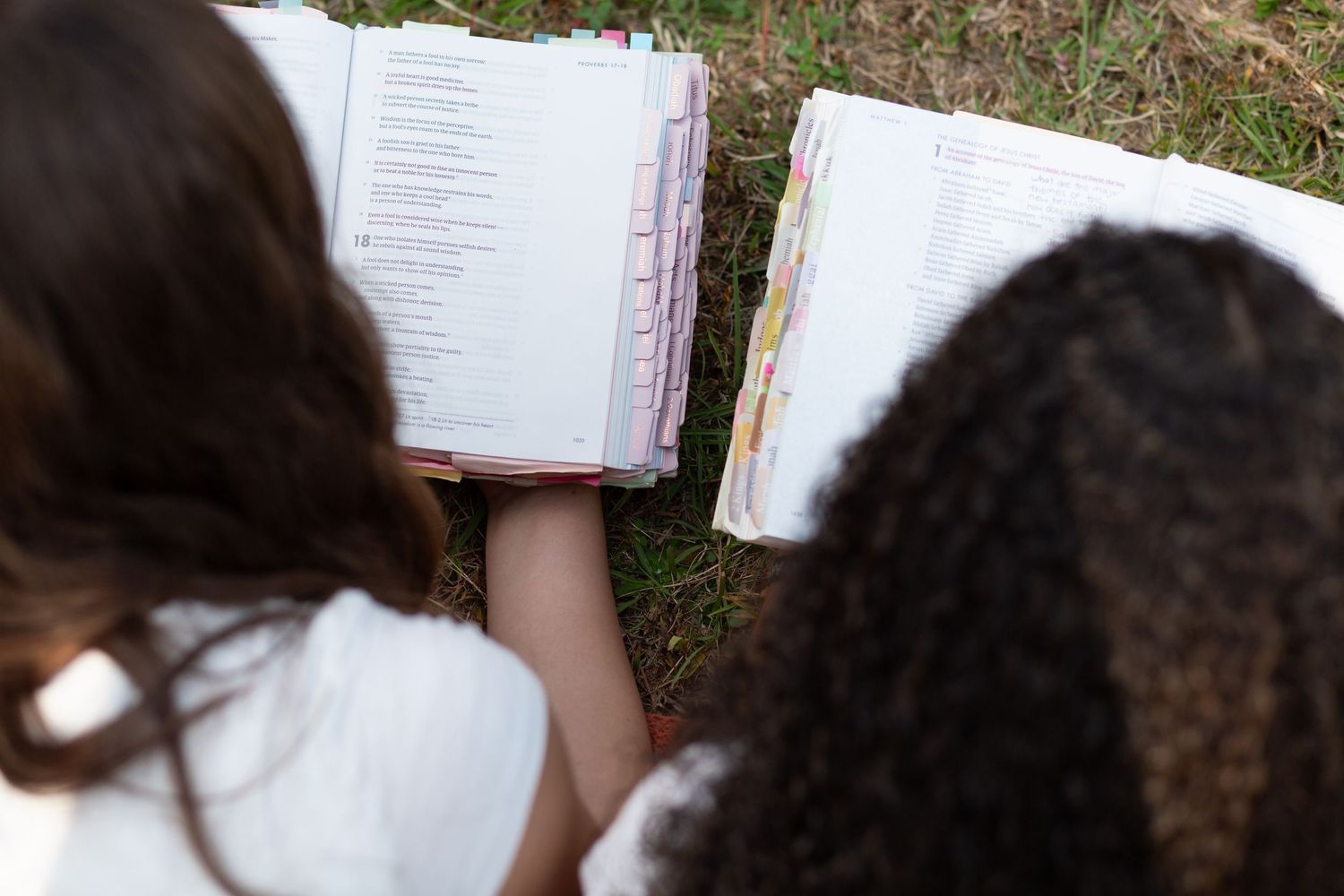 Two girls studying open books outdoors on grass, viewed from above.