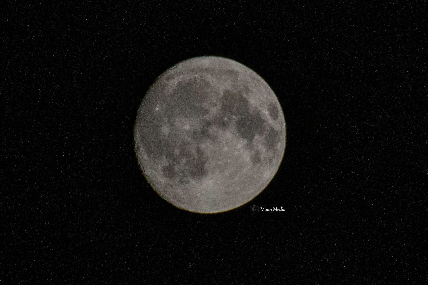 A detailed full moon photographed against a dark night sky, showcasing lunar craters and surface features.