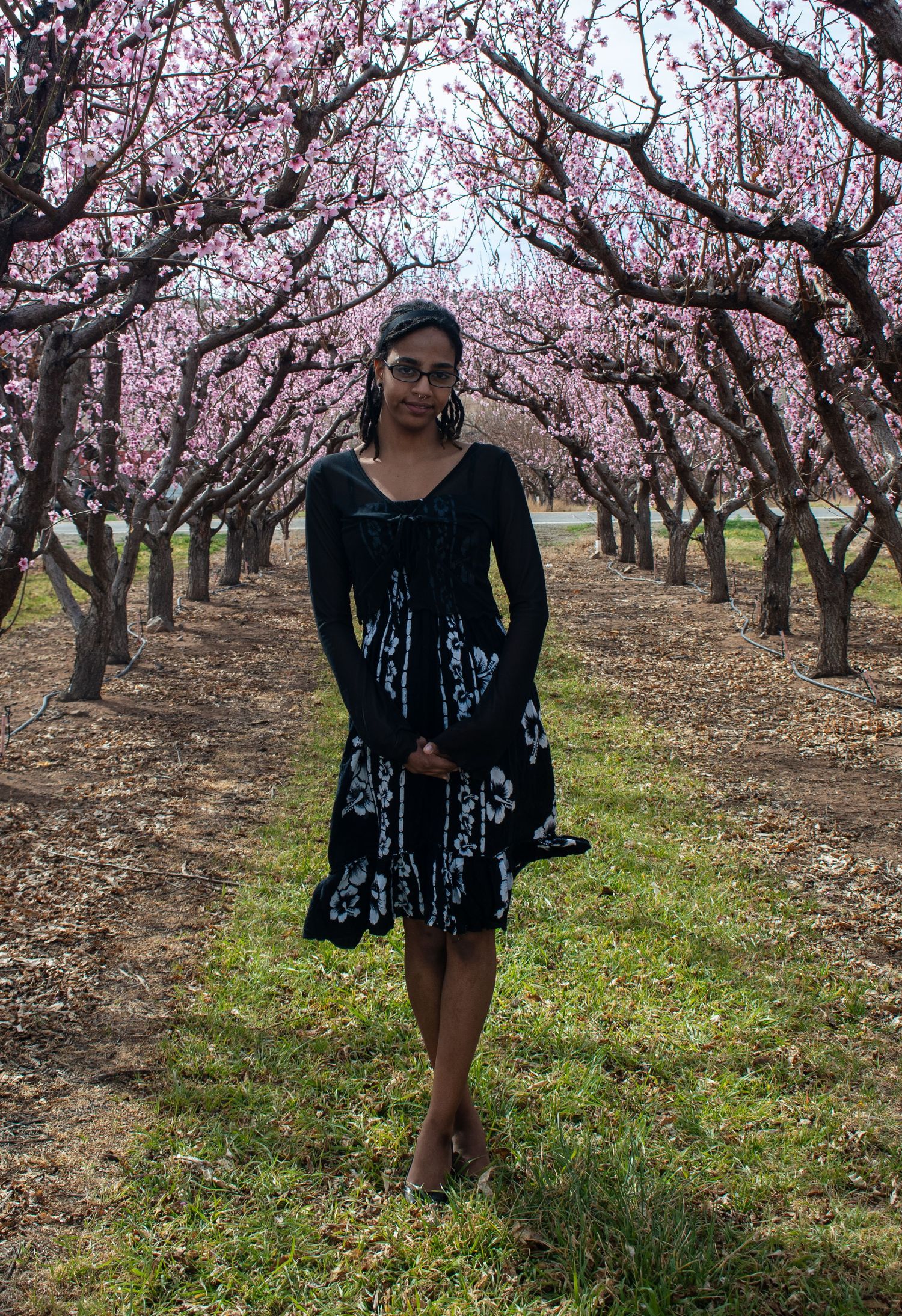 Woman in black floral dress stands among rows of pink blossoming trees in spring orchard.