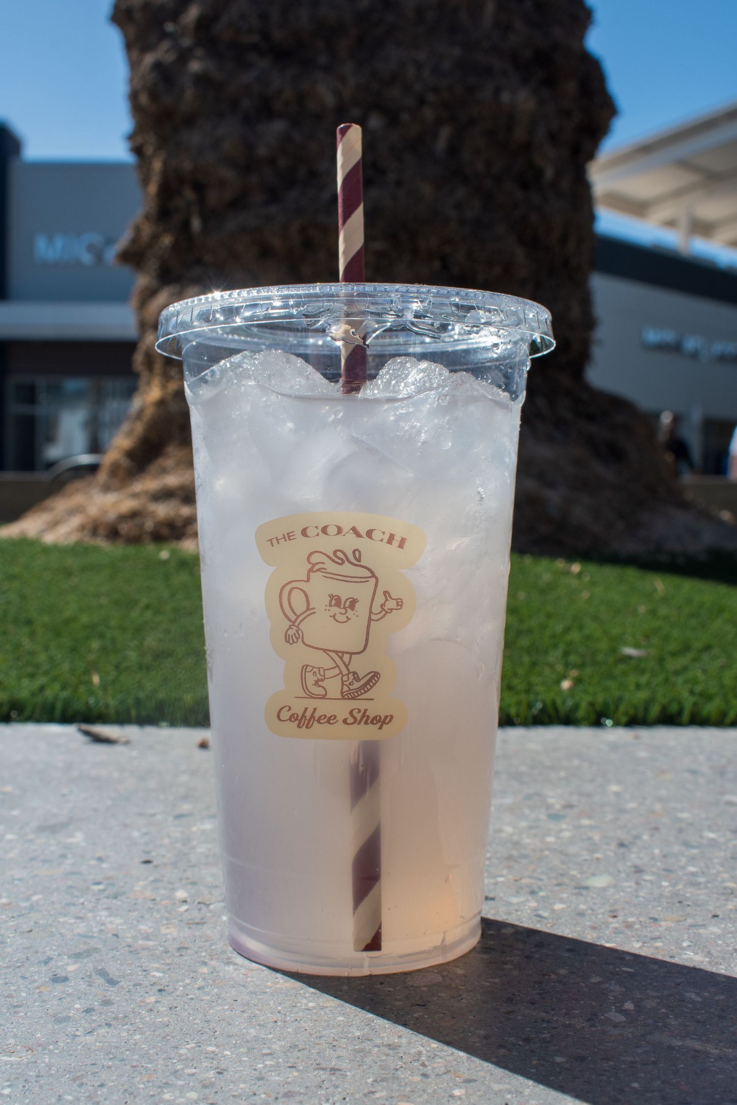 Iced drink in a plastic cup with a striped straw from The Coach Coffee Shop, sitting outdoors in sunlight.