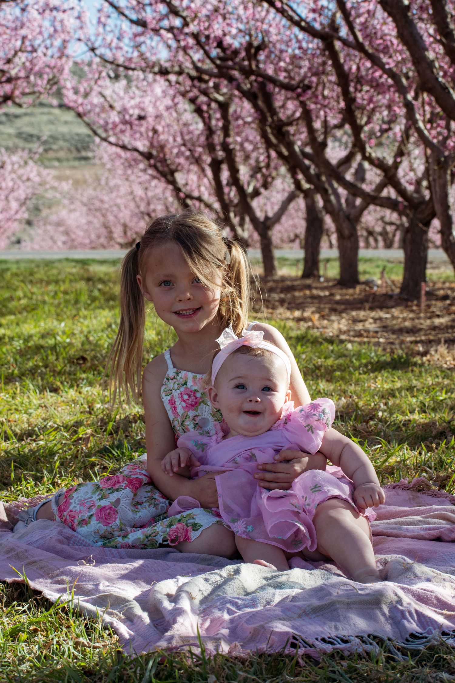 Two sisters in pink dresses sitting together under blooming pink cherry blossom trees outdoors.