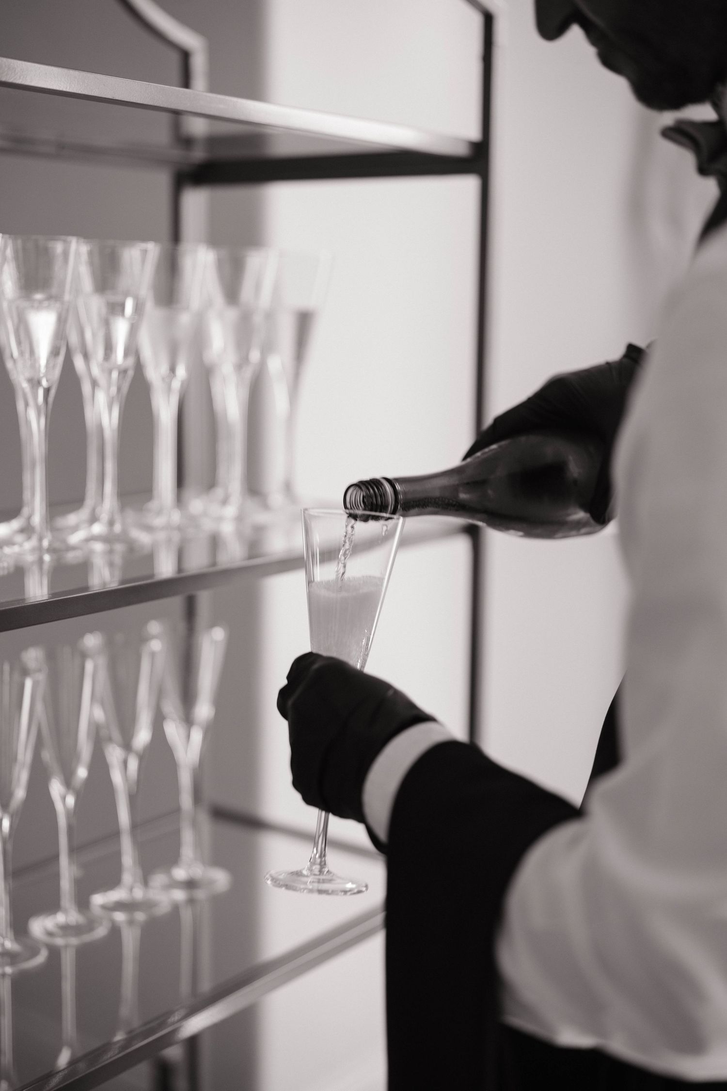 Row of champagne glasses arranged on shelves in black and white.