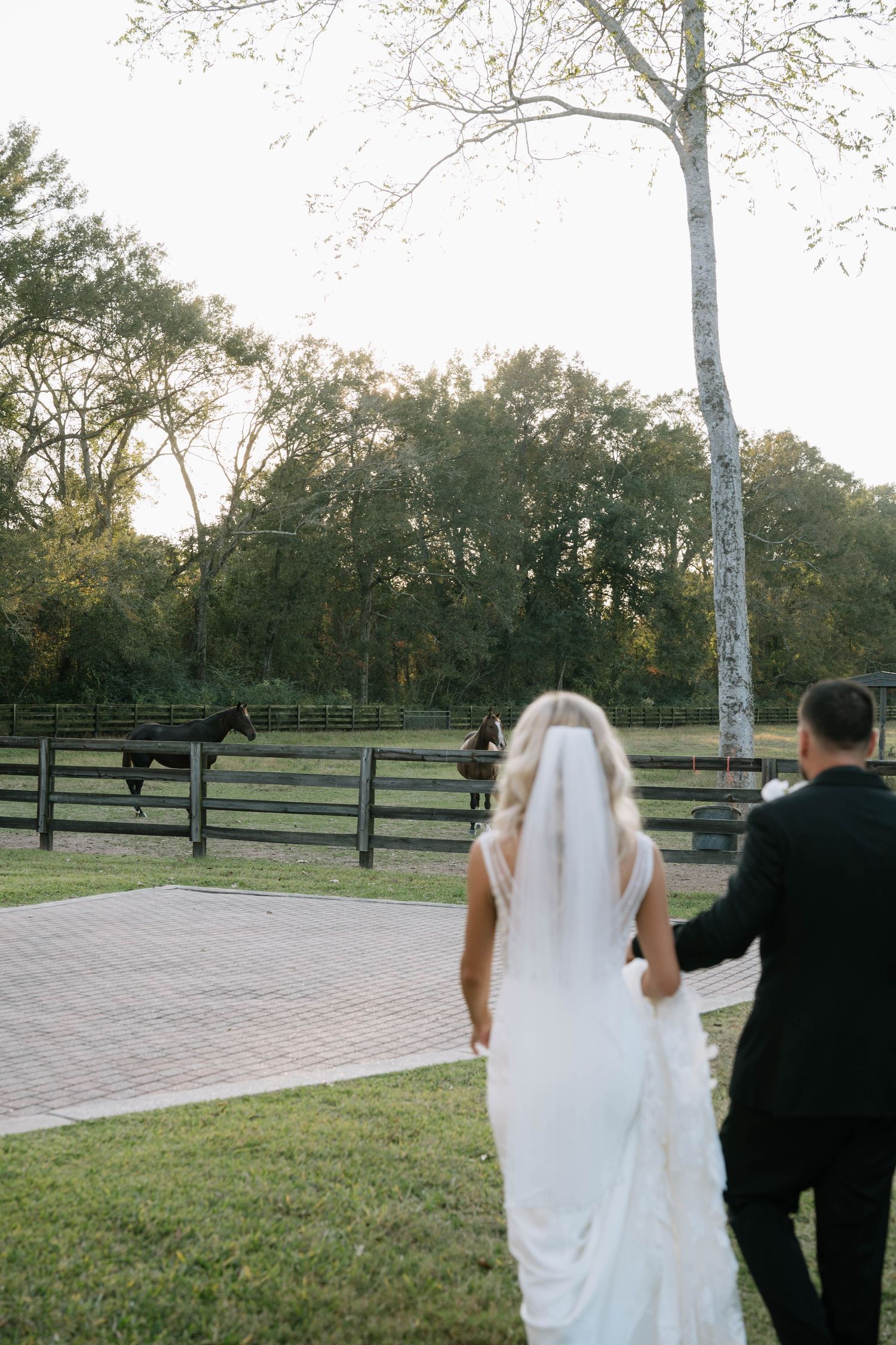 Newlyweds walking together on a path with white fencing and trees in background.