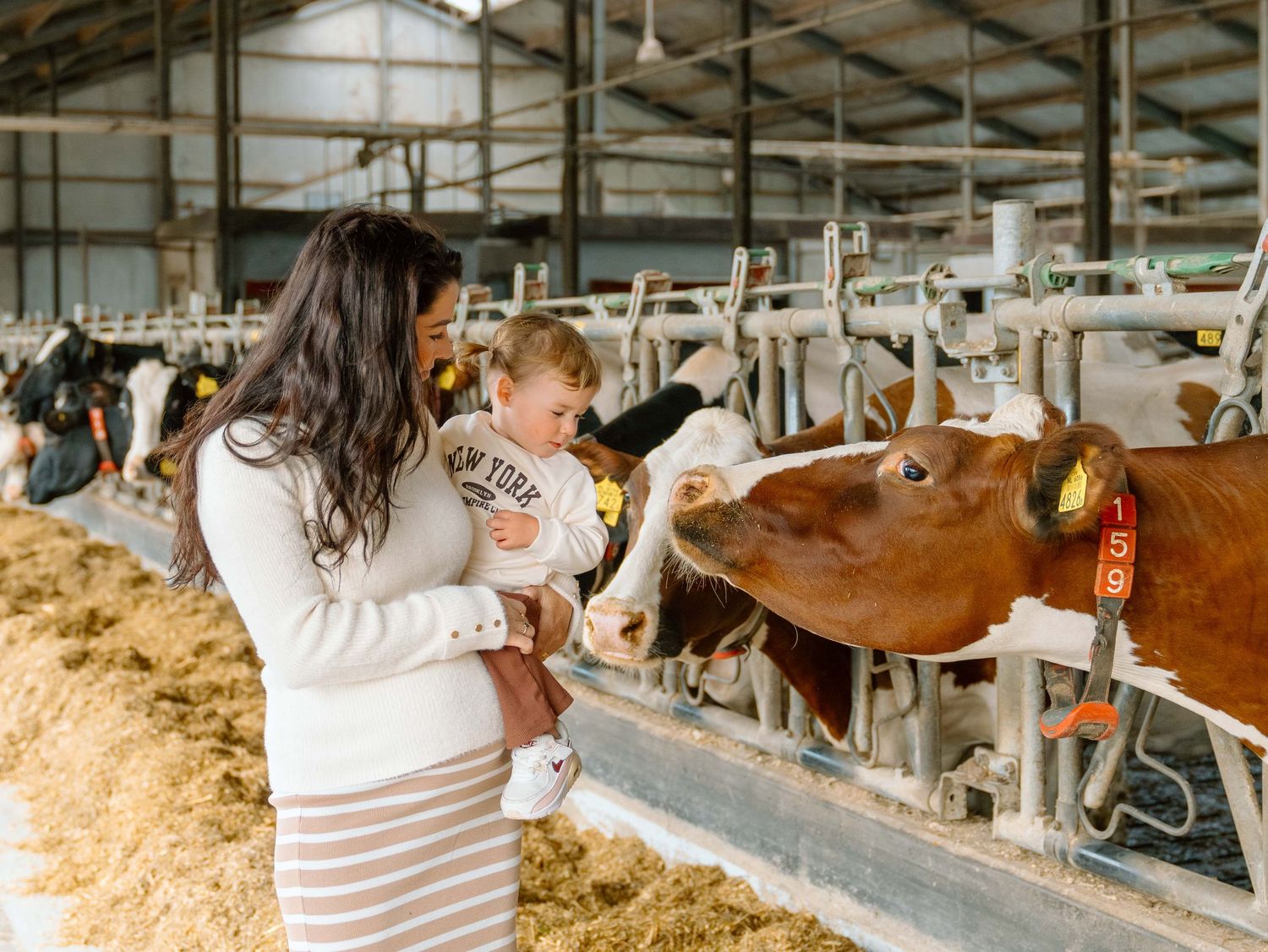 Familie fotoshoot in Mierlo