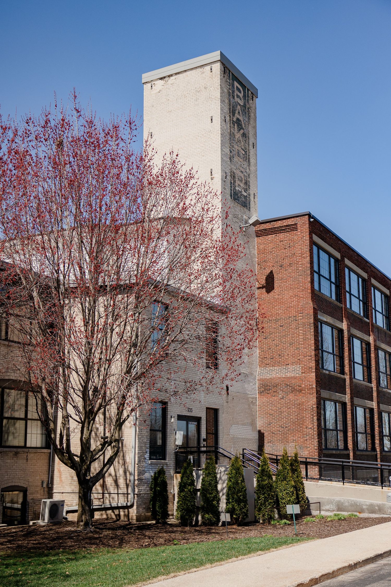 Modern brick building exterior with blooming spring trees and large windows.
