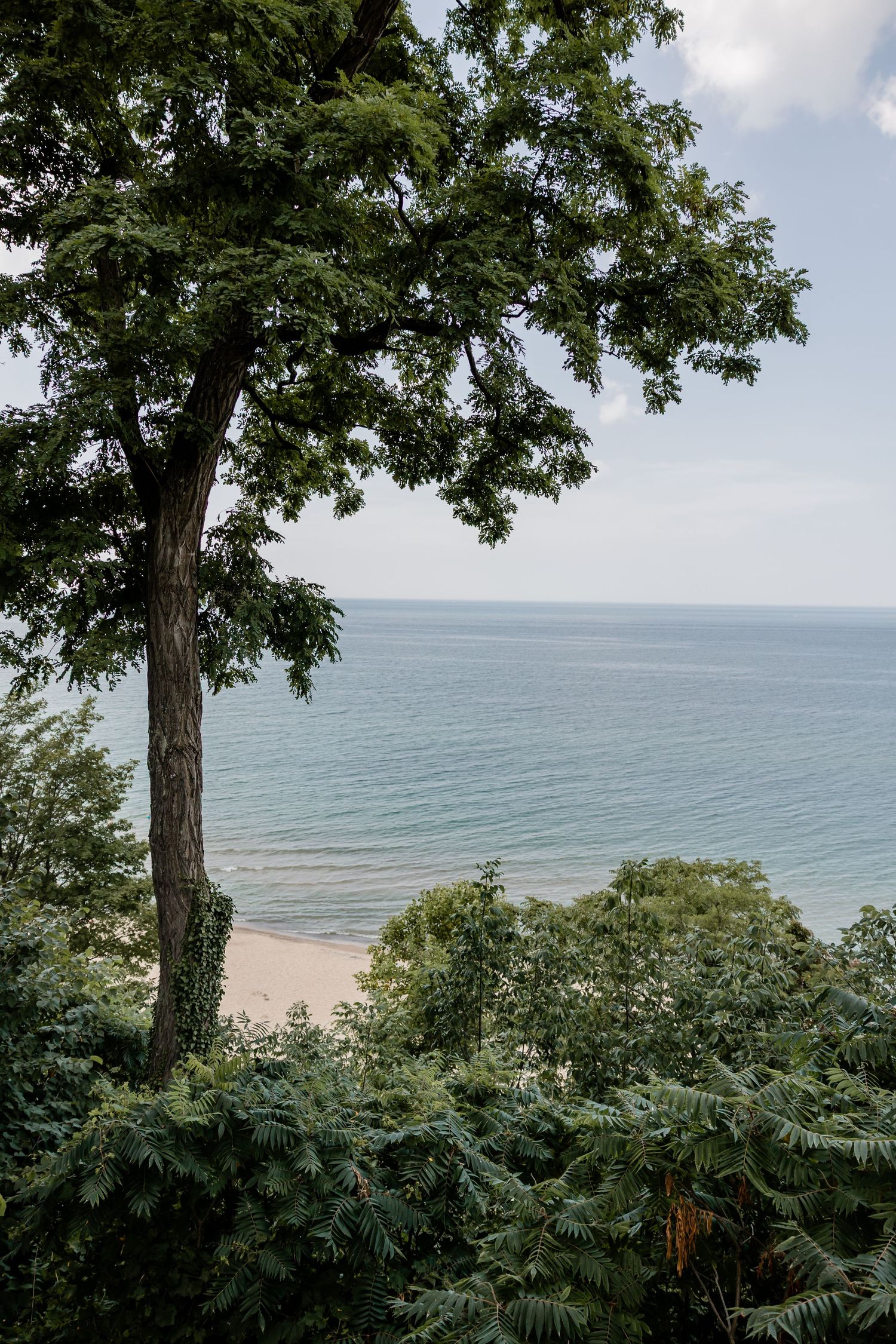 Scenic lakeside view through trees showing calm waters and cloudy sky. Lake Michigan