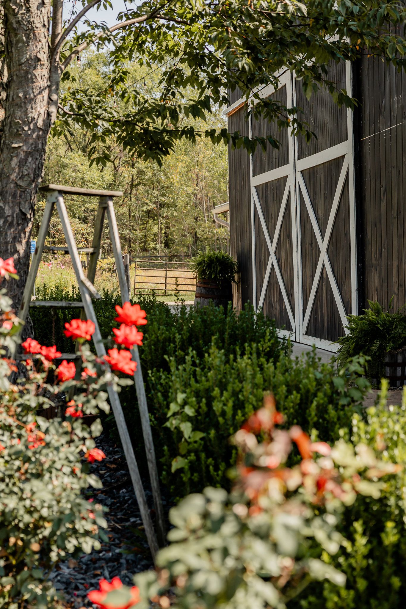 Rustic barn exterior with white doors surrounded by colorful garden flowers and a wooden swing.