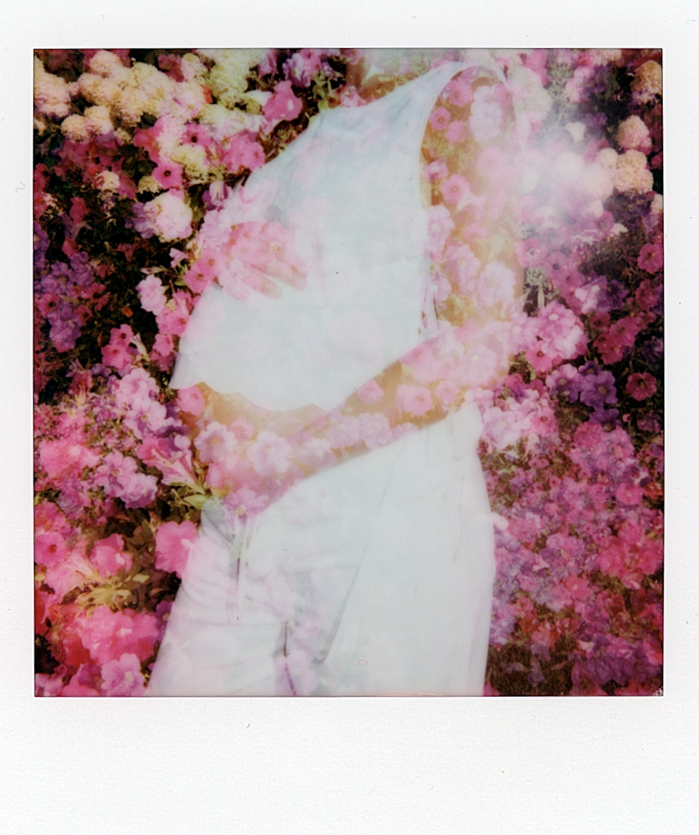 Dreamy pink cherry blossoms creating a romantic floral backdrop.
