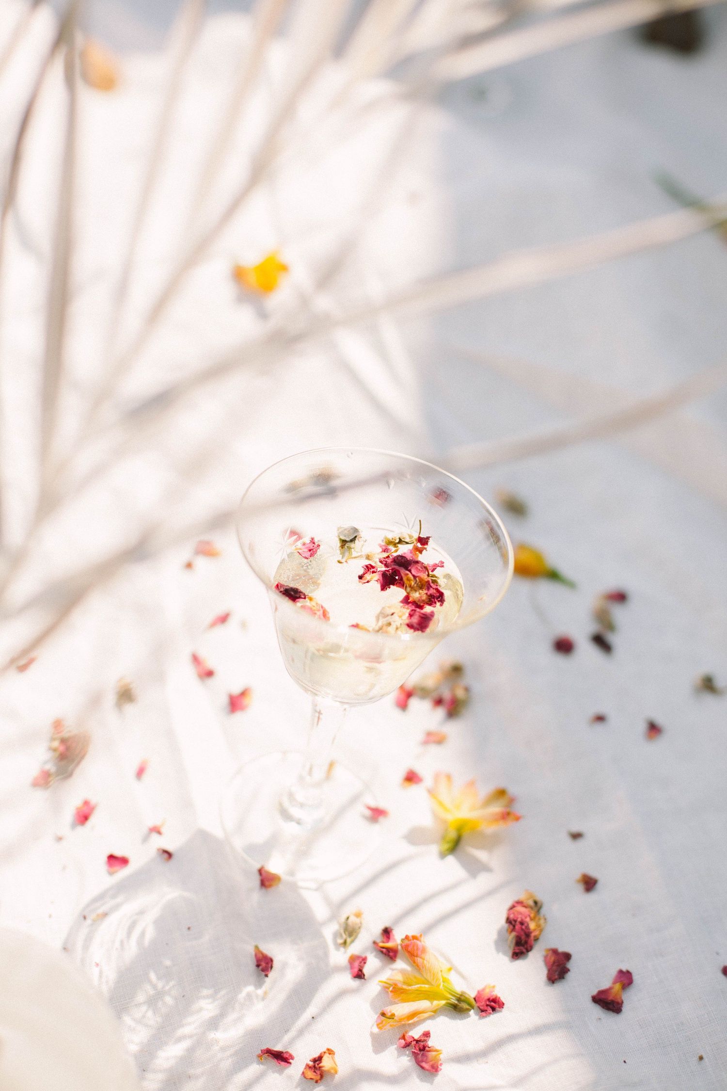 Elegant cocktail glasses with rose petals and cream on white surface.
