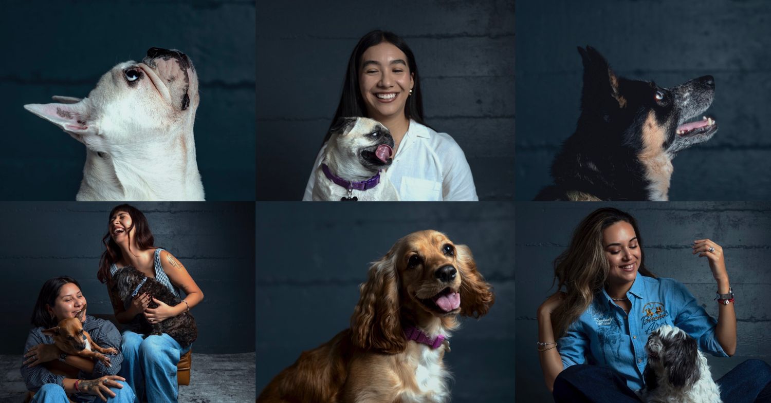 A sequence of candid moments showing people interacting joyfully with their dogs against a dark studio backdrop.