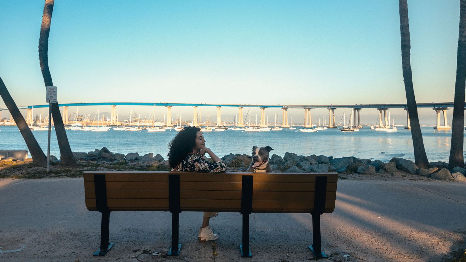 Panoramic view of a beach boardwalk with benches and palm trees at sunset.