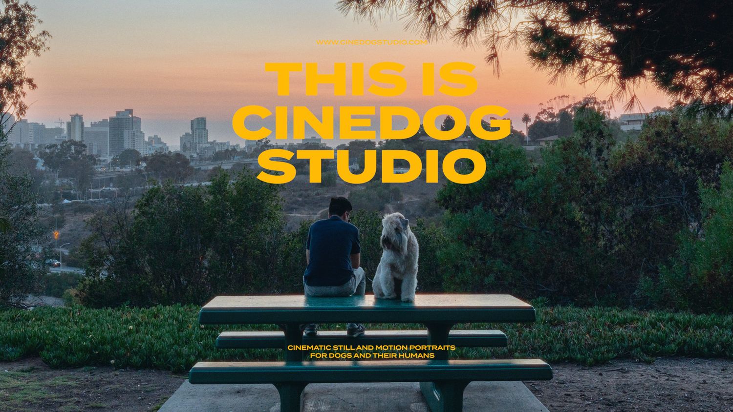 Yellow text 'THIS IS CINEDOG STUDIO' over silhouetted figures watching sunset cityscape.