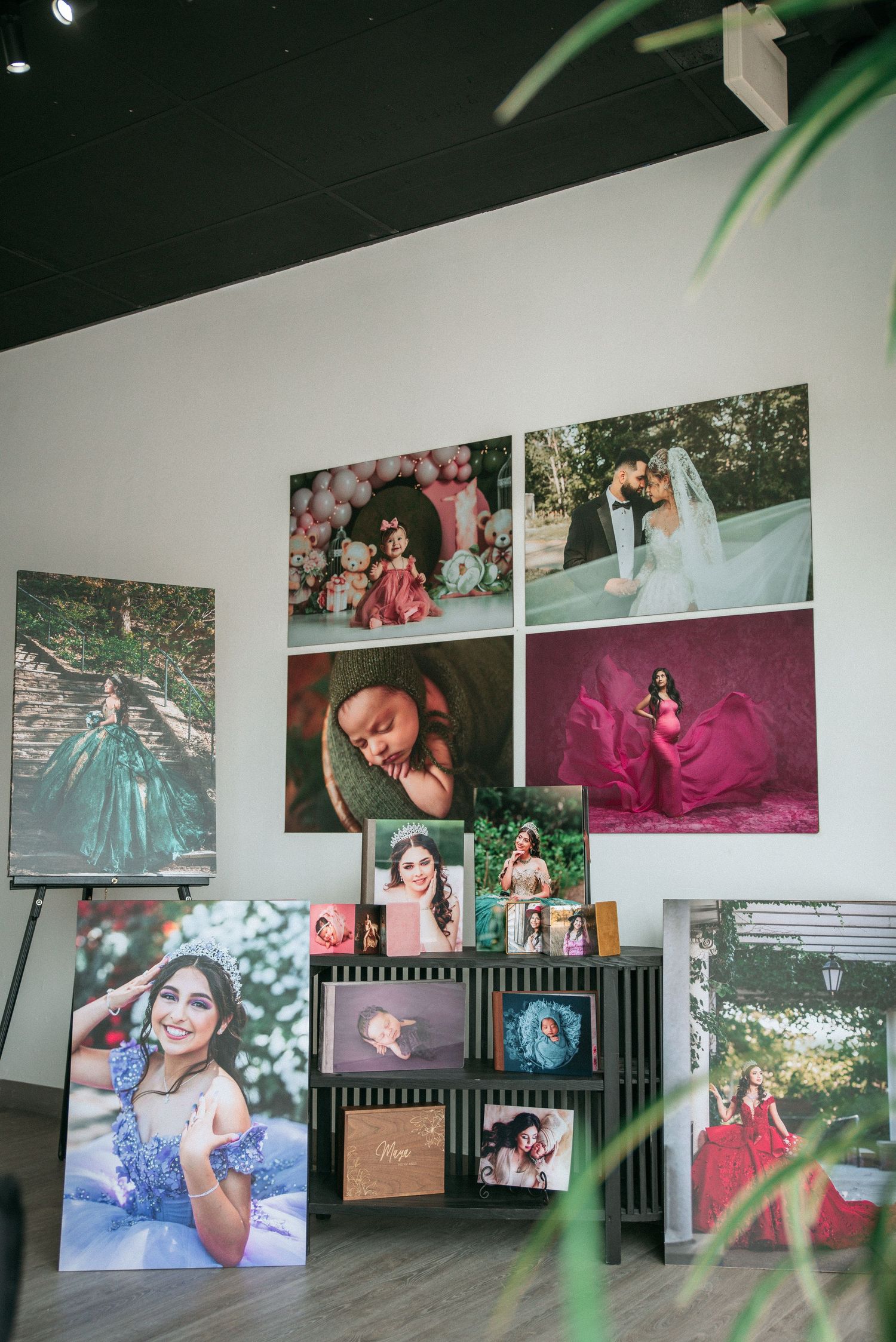 Gallery wall display of portrait photographs with green plant leaves in foreground.