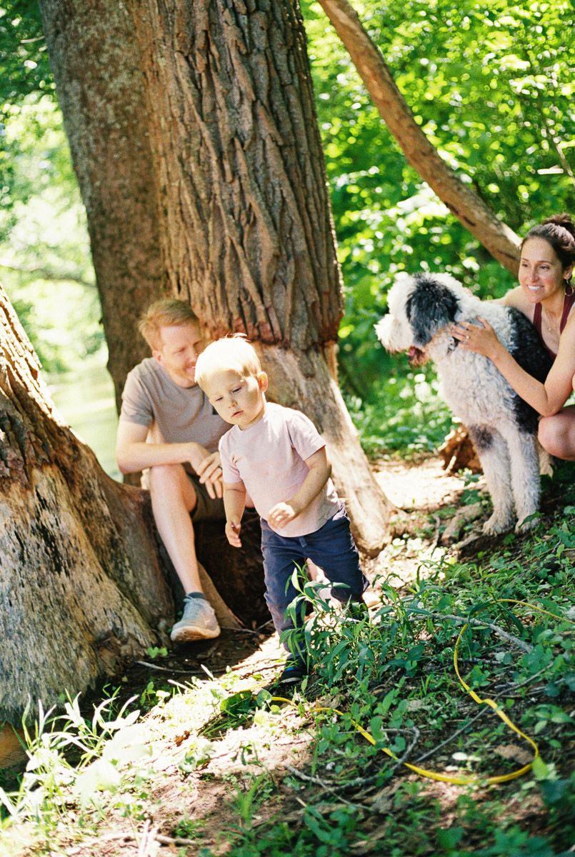 Family with toddler and fluffy dog relaxing under a large tree in a lush green forest on a sunny day.