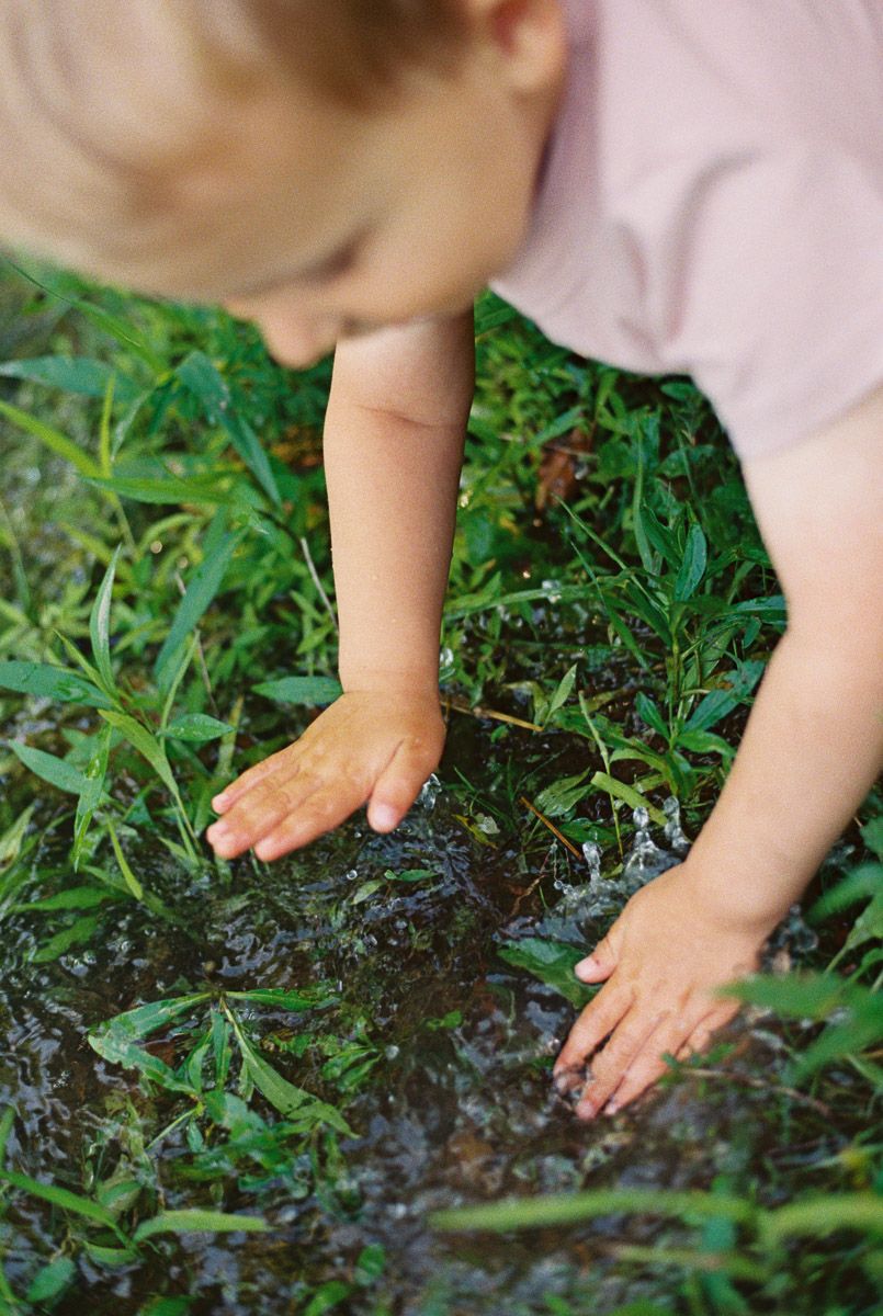 Toddler splashing hands in a puddle surrounded by lush green plants outdoors.