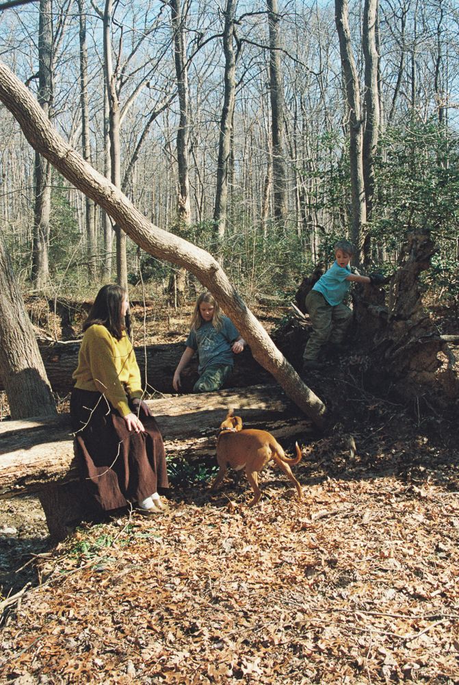 Sequence of people in casual clothing exploring and resting among fallen leaves in an autumn forest setting.