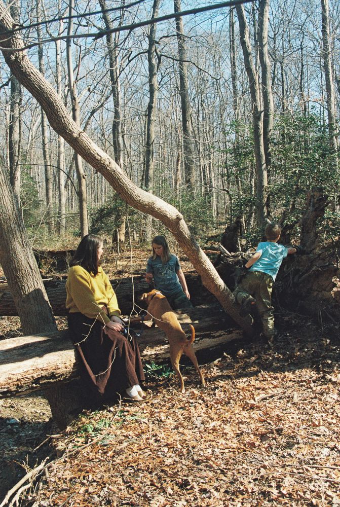 A sequence of photos shows a person climbing and swinging on a fallen tree trunk in a winter forest.