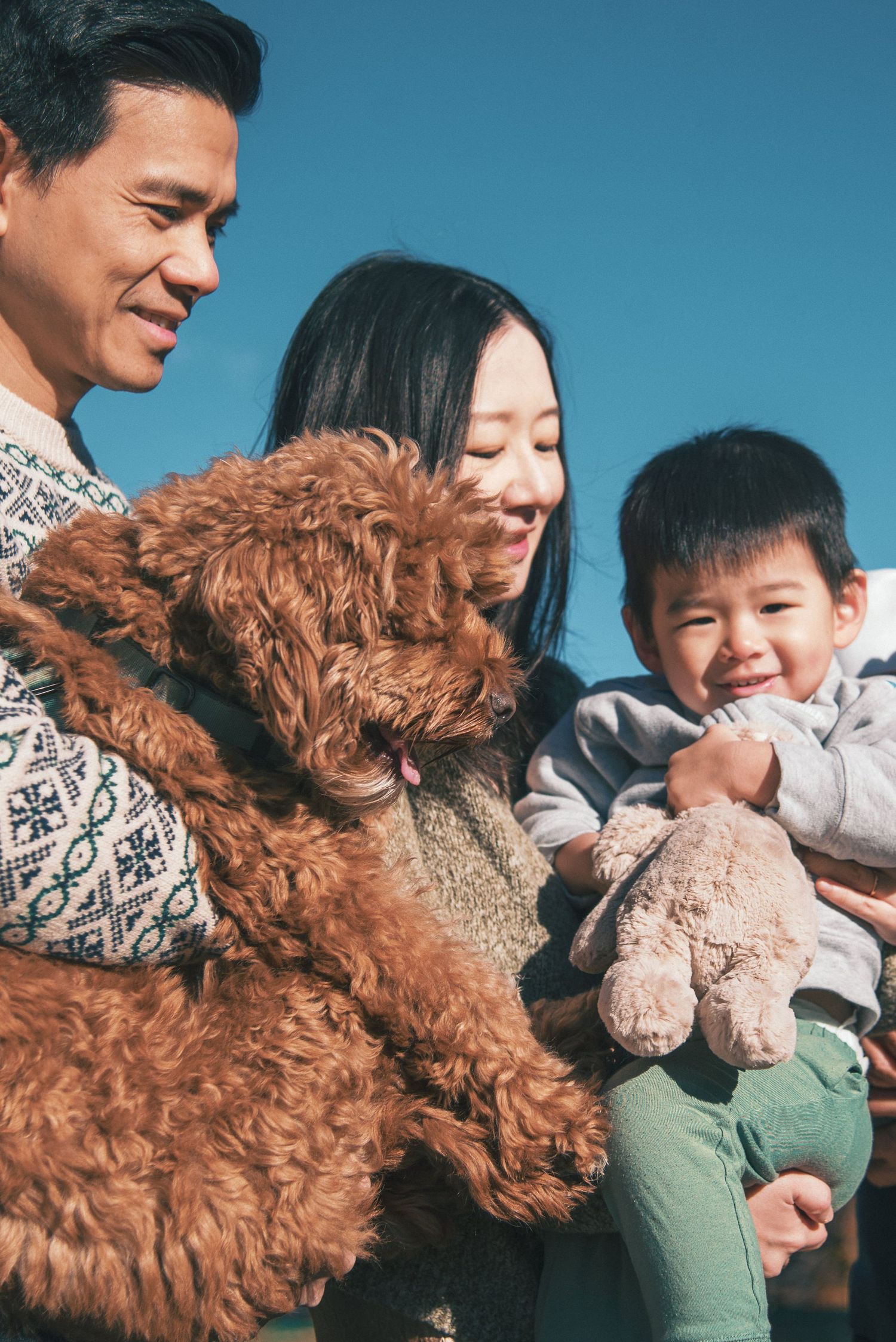 A brown goldendoodle dog playfully interacts with a family in a series of four candid shots against a blue sky background.