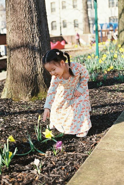 Young girl in floral dress bending down to examine spring daffodils and crocuses blooming in a garden bed.