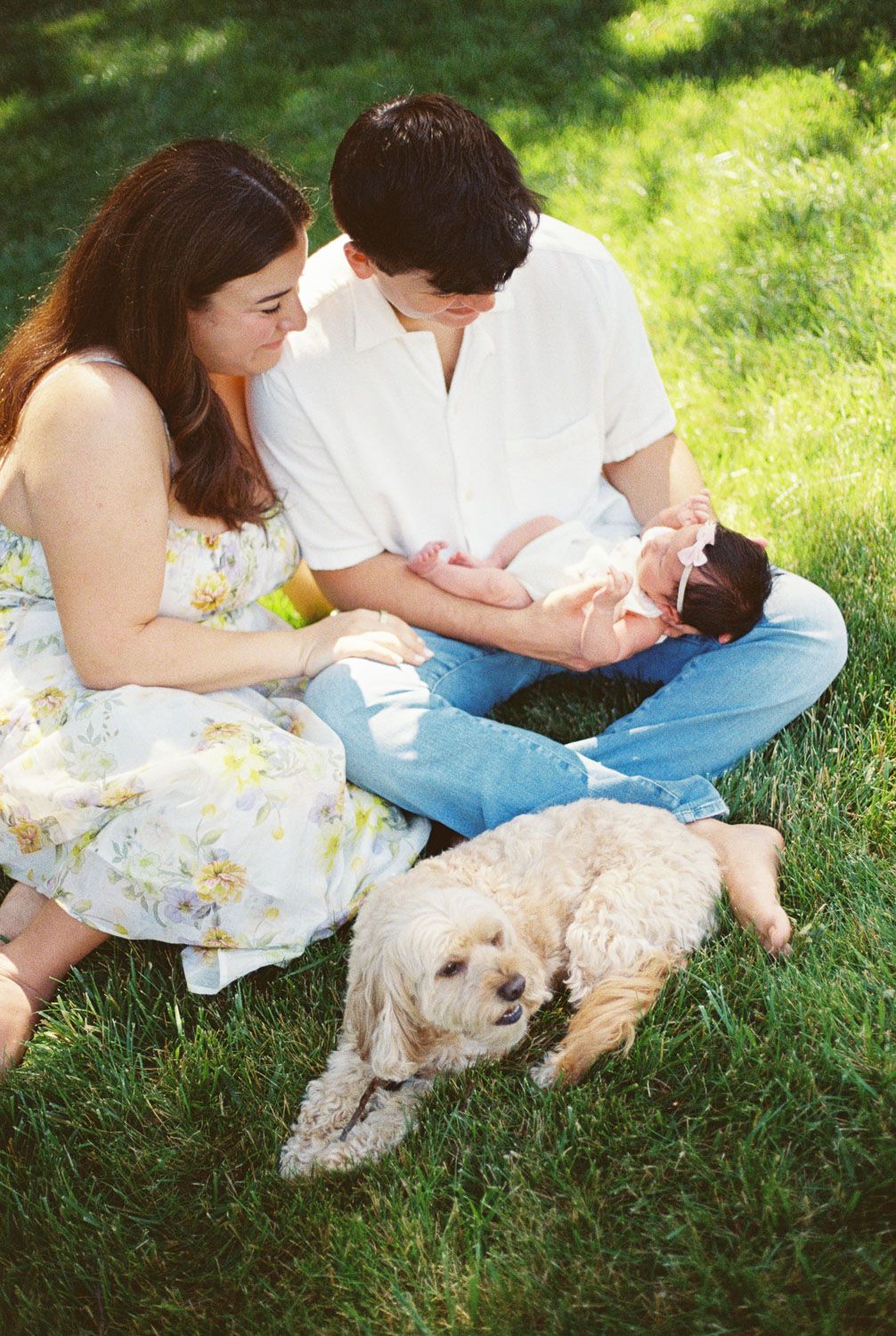 A couple sits on sunlit grass holding their newborn baby while a fluffy cream dog rests beside them in a peaceful family outdoor portrait.
