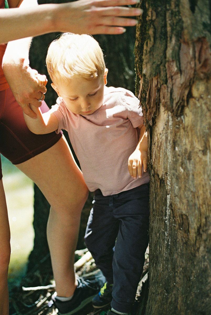 A toddler in a pink shirt and dark pants explores a tree trunk outdoors, guided by an adult's hand.