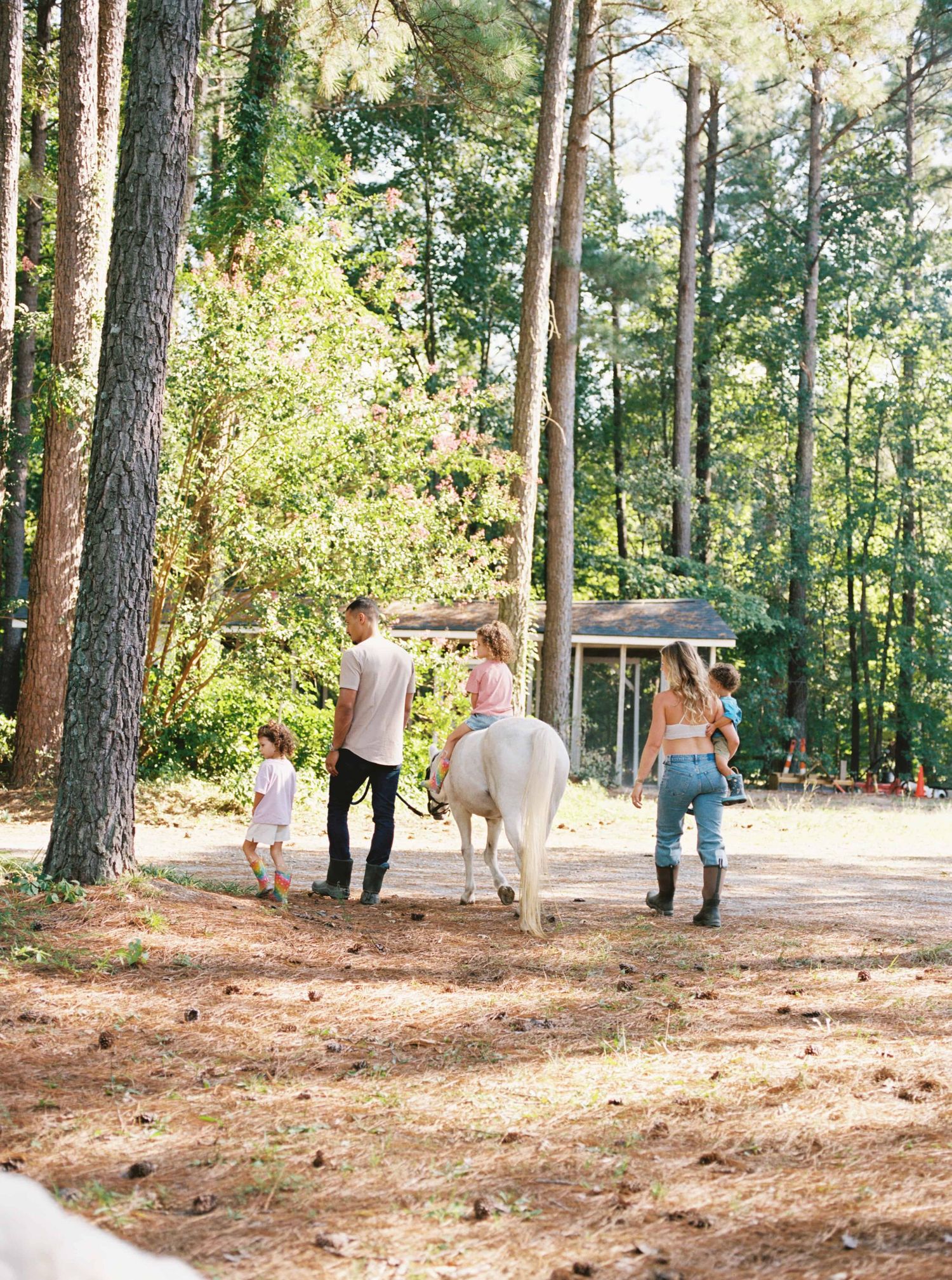 People walking and playing on a pine needle covered trail in a sunny forest setting.