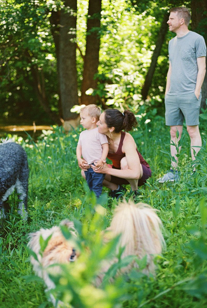 A mother kisses her toddler outdoors while father and two dogs enjoy a green park.