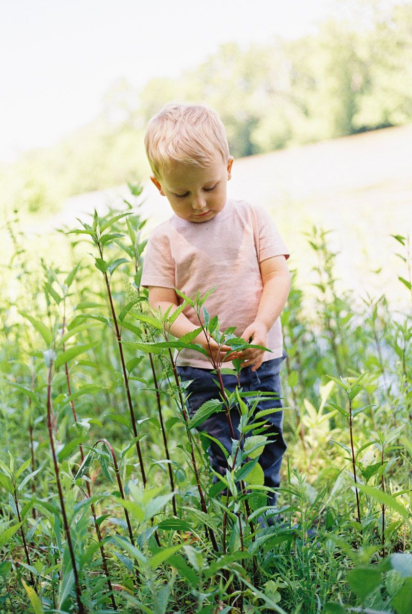 Young blond boy exploring lush green plants outdoors near a river on a sunny day.