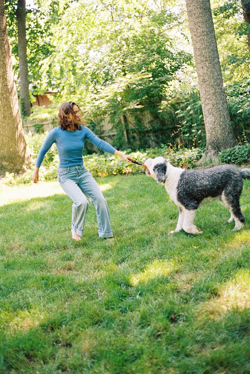 Woman in blue top and jeans playing tug-of-war with a fluffy sheepdog on a sunny green lawn.