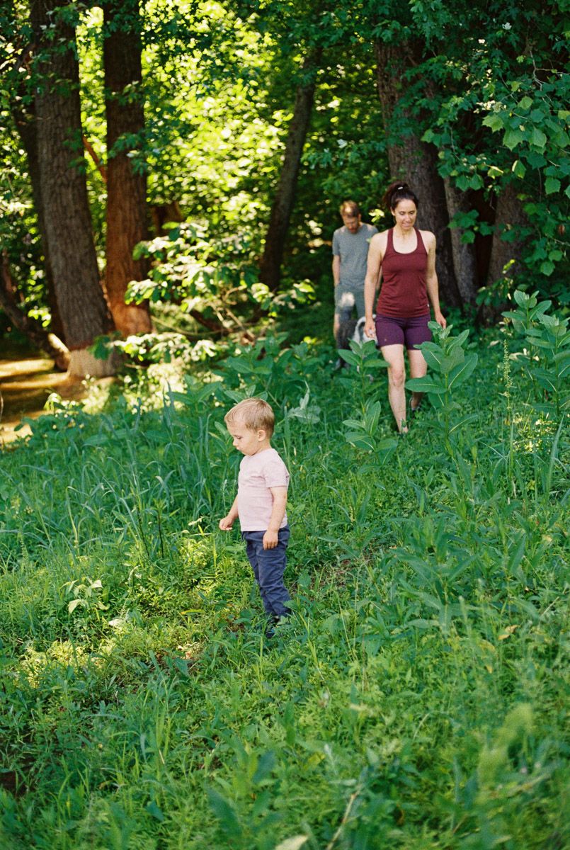 Family hiking through lush green forest, mother in red tank top leads toddler in pink shirt through sunlit woodland trail.