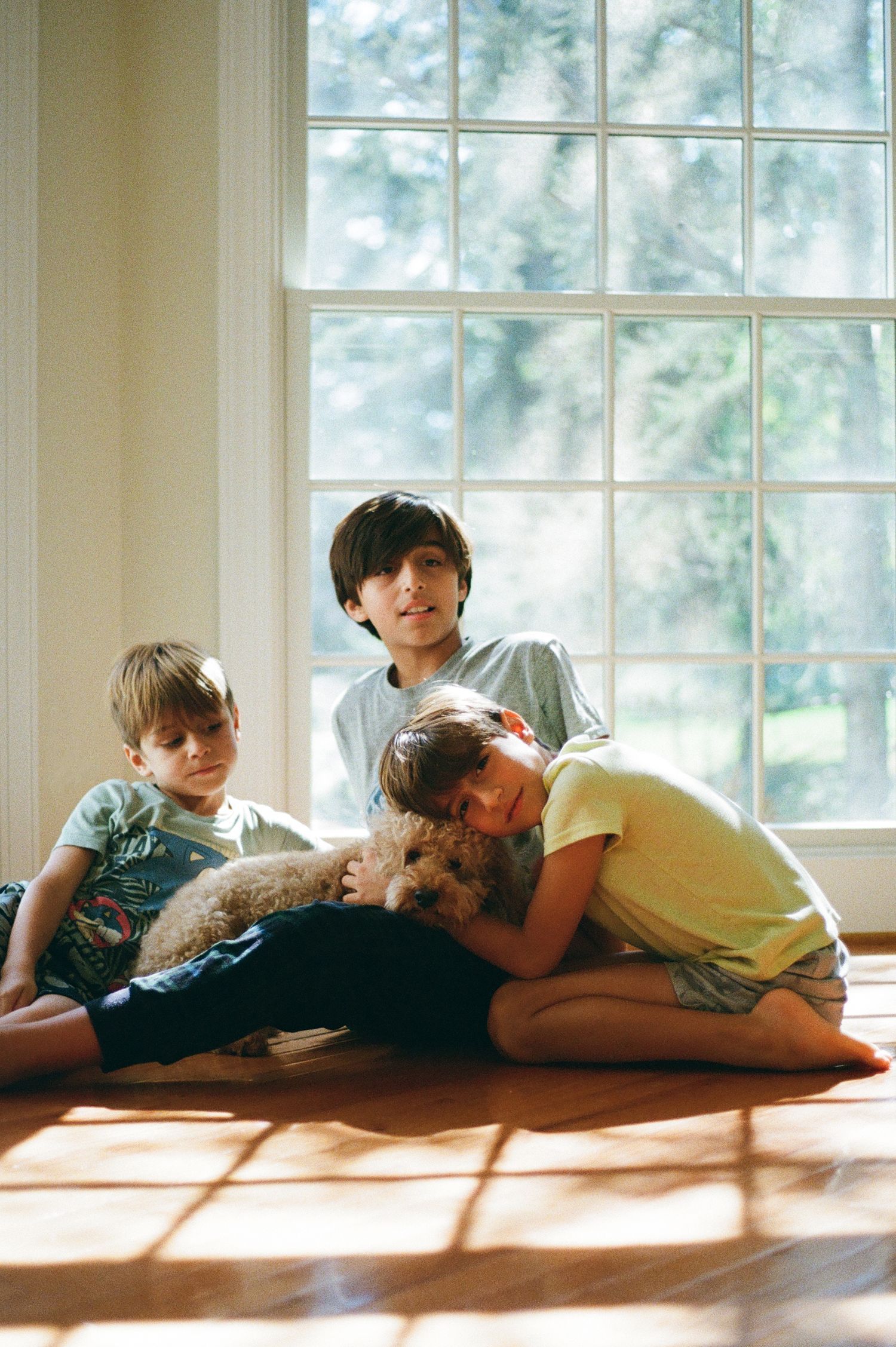 Three children sit and lie on a sunlit hardwood floor beside a large window, cuddling a fluffy golden dog.