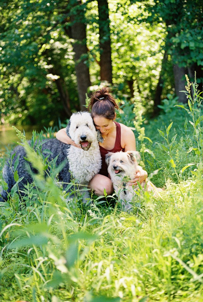 Woman crouching in lush green grass hugging two fluffy dogs, an Old English Sheepdog and small terrier, in a sunlit forest.