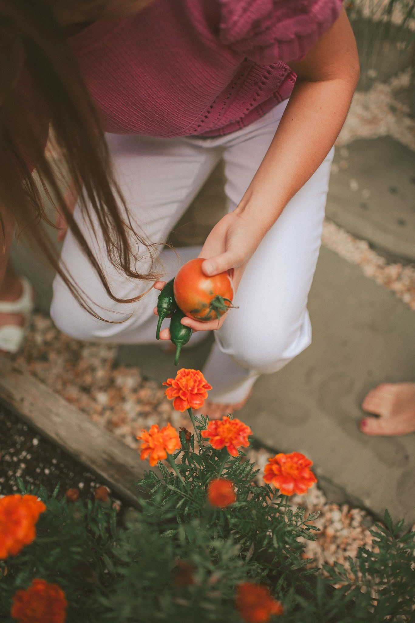Person in white pants and pink top tending to bright orange marigold flowers in a garden.