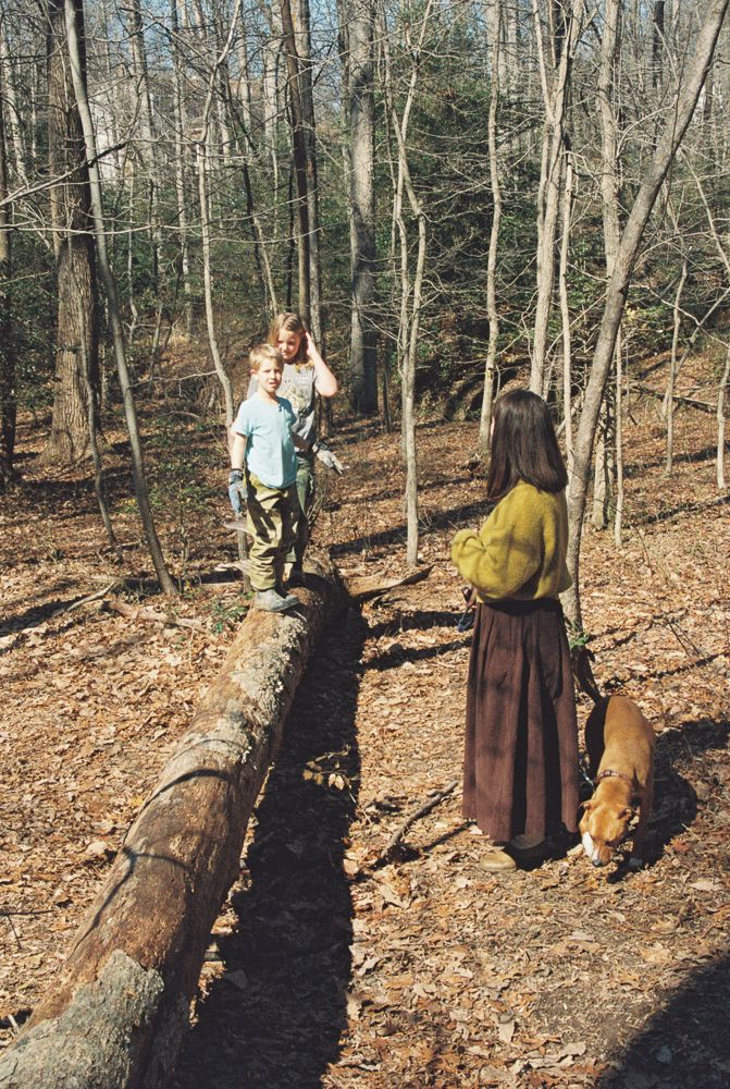 A person in period dress walks with a dog along a fallen log in an autumn forest setting.