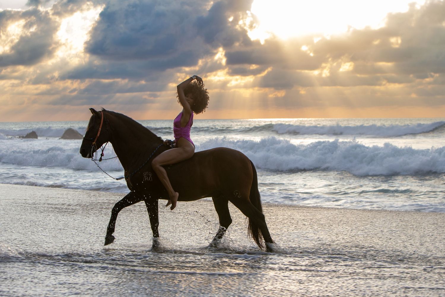 Silhouette of a horse galloping through ocean waves at sunset with dramatic cloudy sky and sunbeams.
