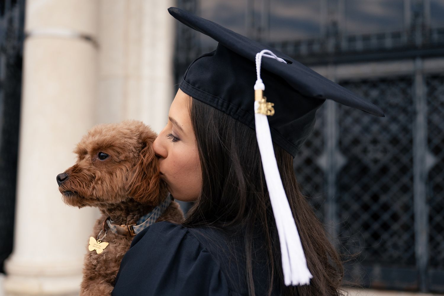 Graduate in black cap and gown holds small brown dog during photo session.