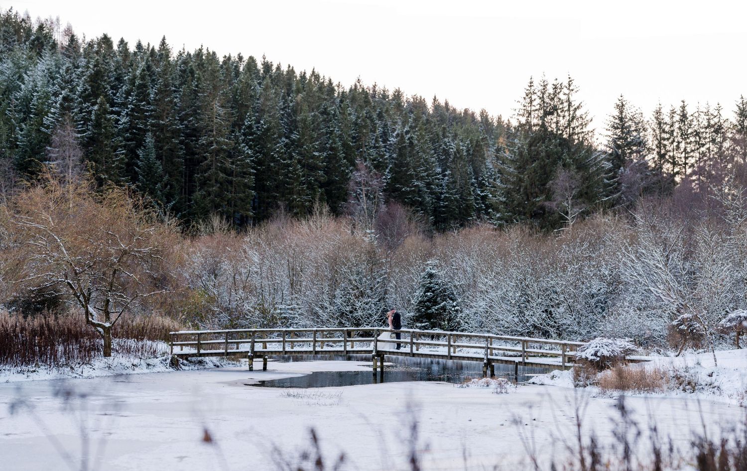 Aberdeen Wedding Photography. Snowy winter landscape with evergreen forest and wooden fence in panoramic view.