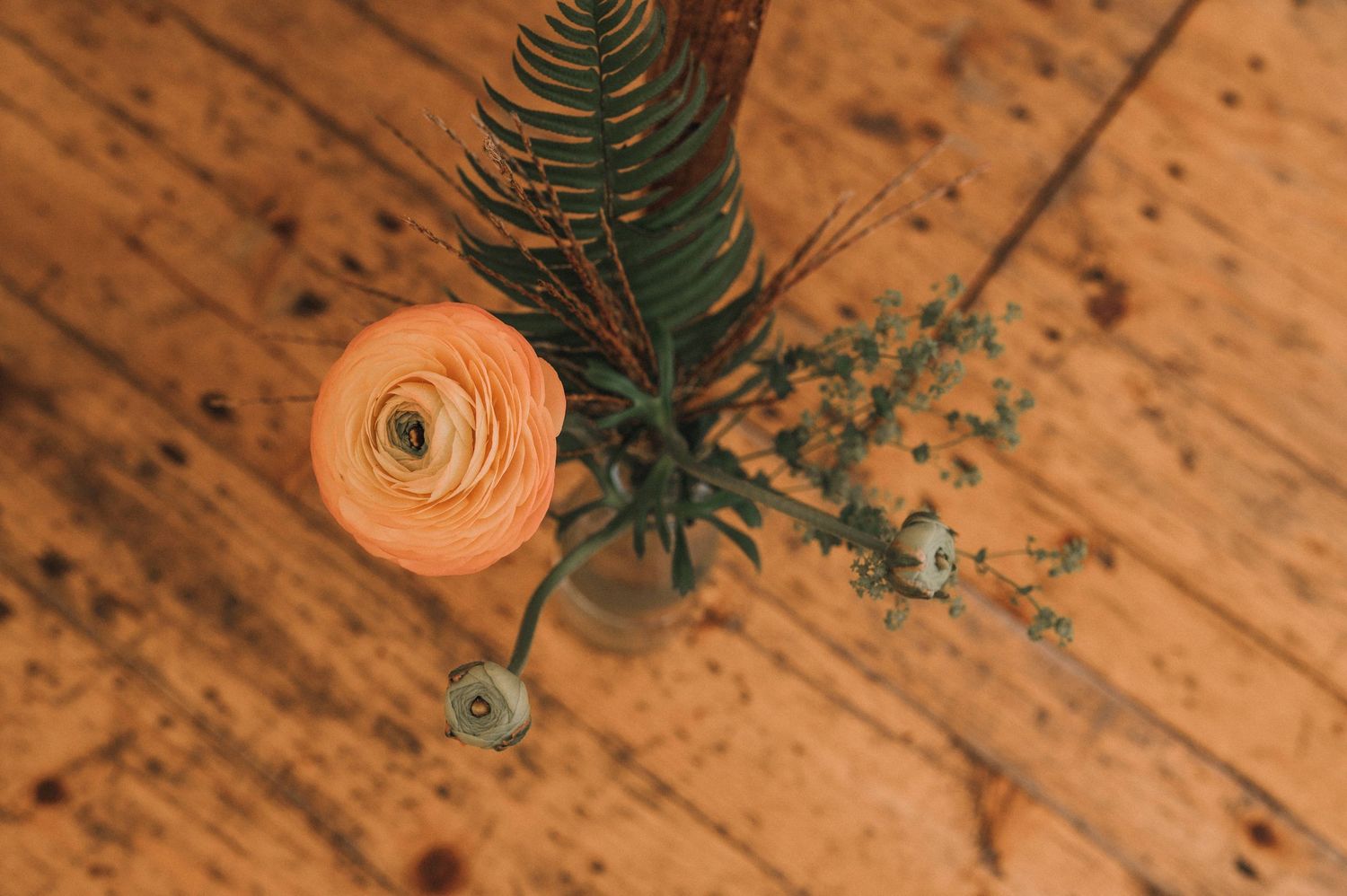 Orange ranunculus flower with fern and greenery on rustic wooden flooring.