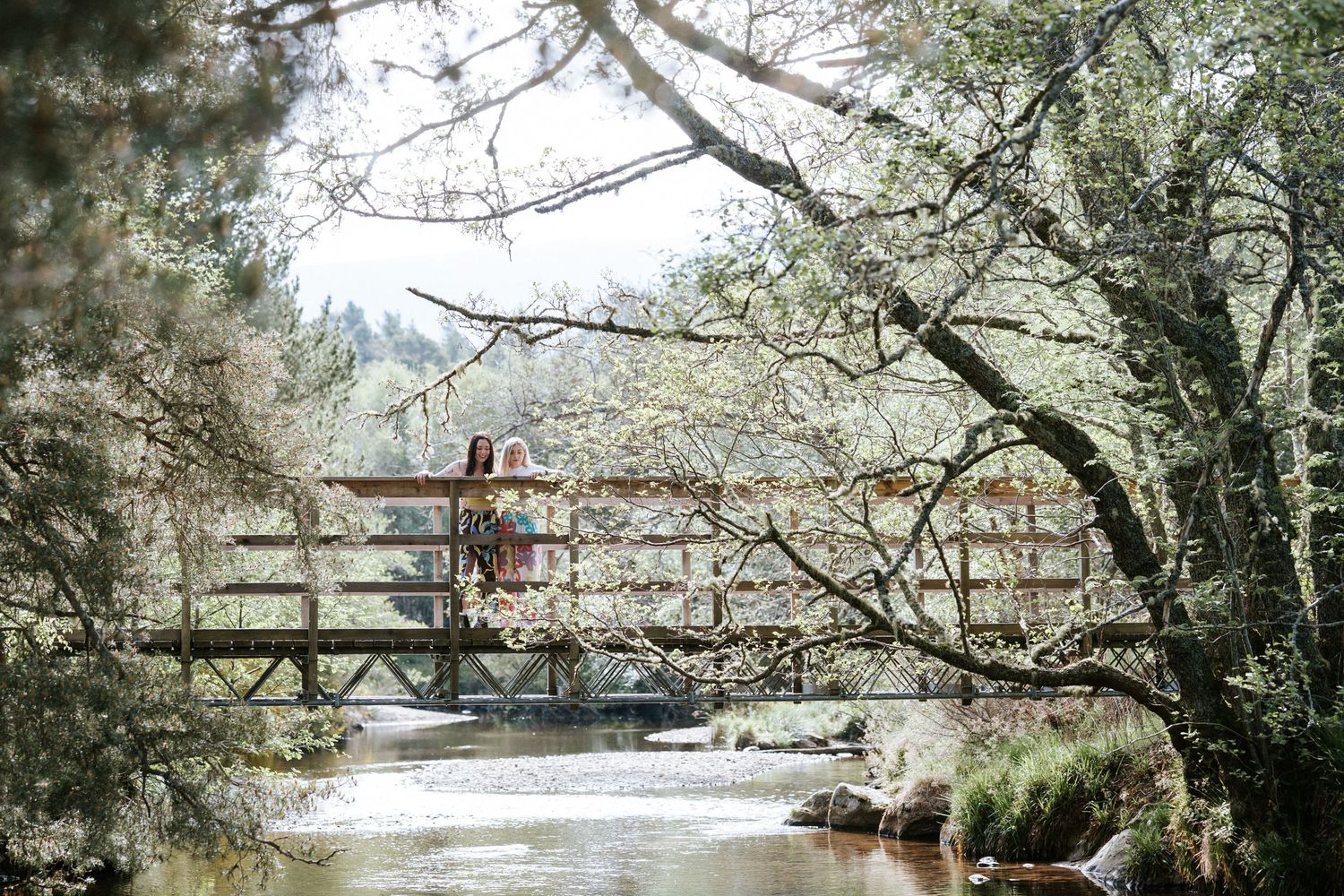 Engagement photography session Aberdeen. A scenic wooden bridge spans across a serene river surrounded by lush trees and foliage.
