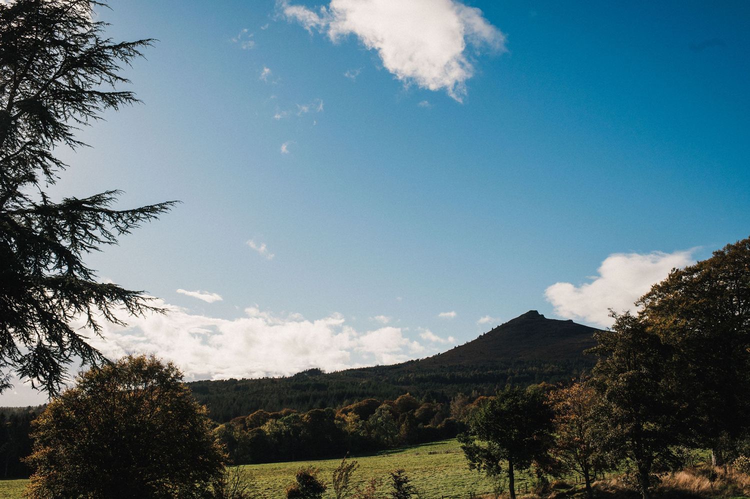 Mountain landscape with green fields and pine trees under a bright blue sky with scattered white clouds.