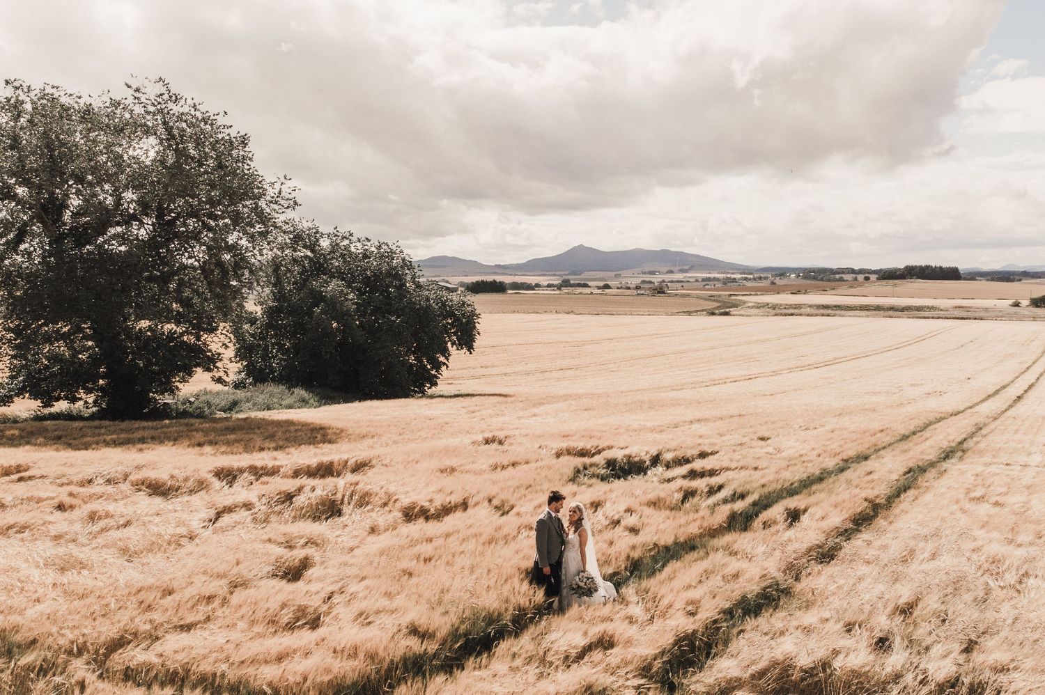 Aerial view of newlyweds walking through a golden wheat field with mountains in the distance.