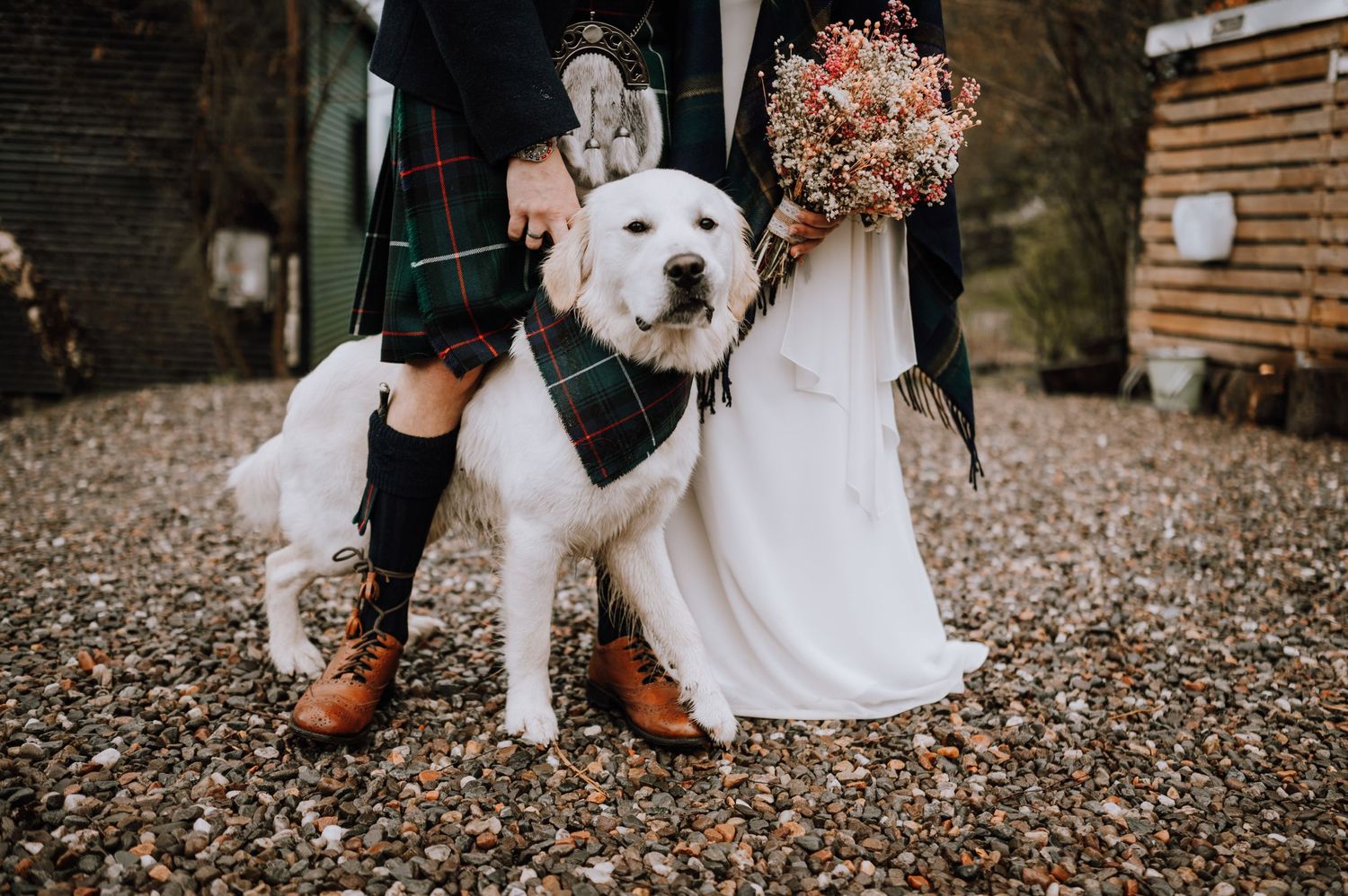 White dog in black bandana sits beside couple wearing traditional Scottish wedding attire on gravel path.
