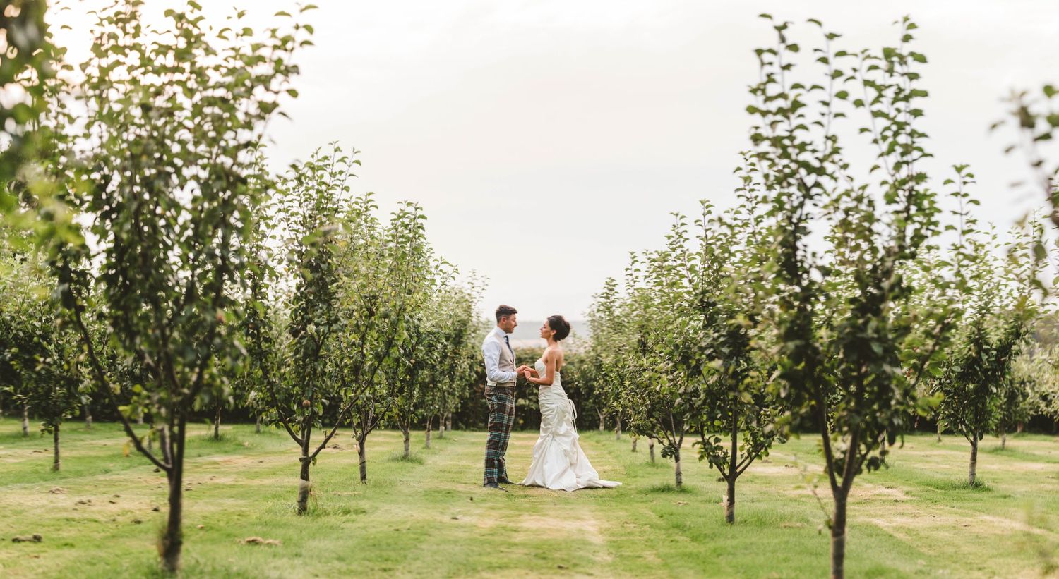 Newlyweds standing in orchard during wedding photoshoot.