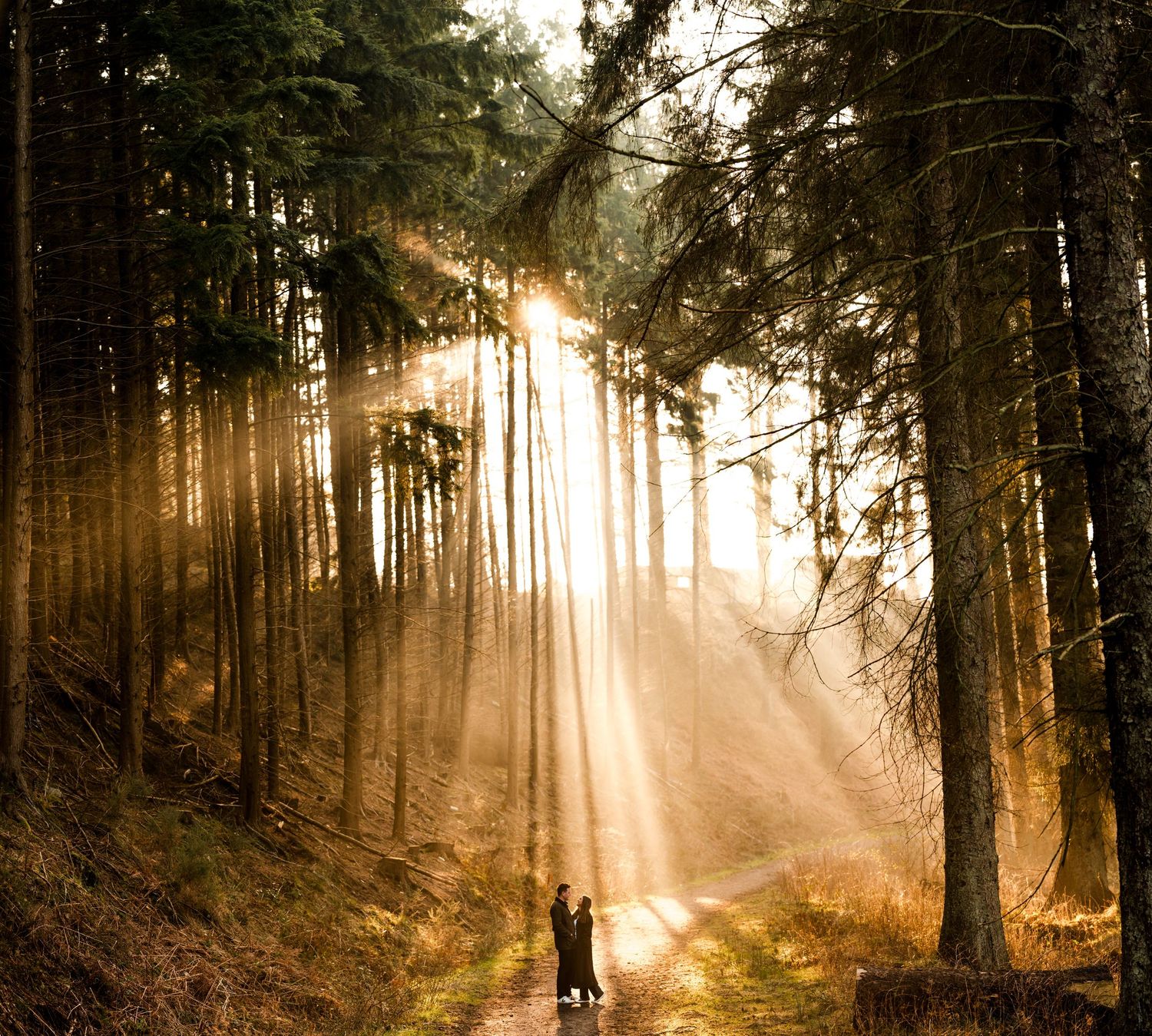 Engagement photography session Aberdeen. Sunlight streams through a misty forest creating dramatic rays between tall trees.