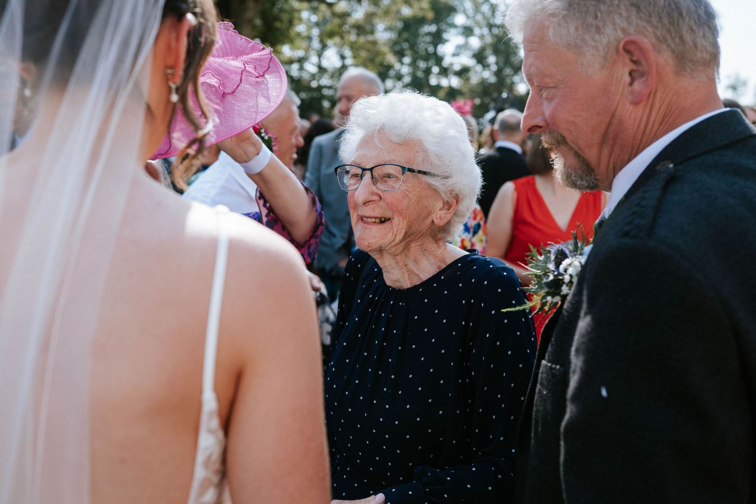 vWedding guests gather outdoors during a sunny celebration.